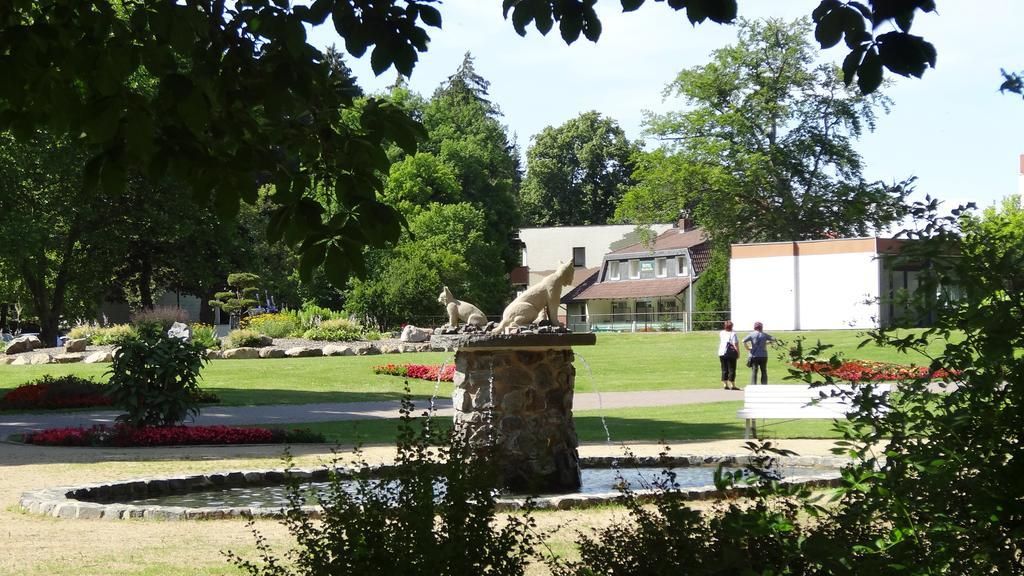 Pension Villa Irene Bad Harzburg Esterno foto